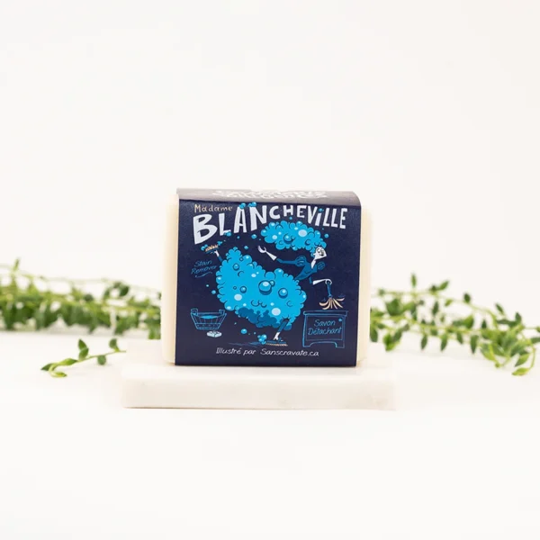 DILIGENCES - Madame Blancheville
