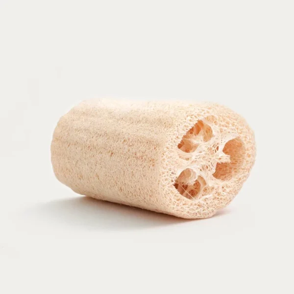 EVOLU - Luffa entier